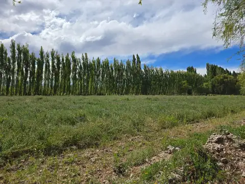 Terreno en Venta en Uspallata, USD 26.000