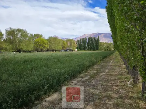 Terreno en Venta en Uspallata, USD 26.000