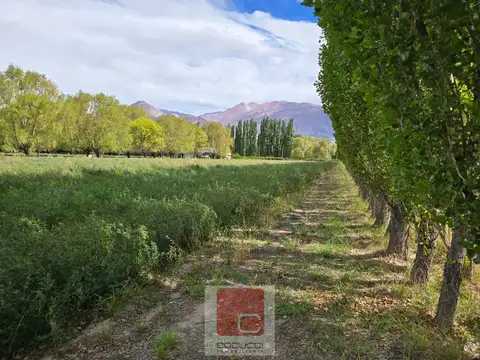 Terreno en Venta de 2009,0 m2