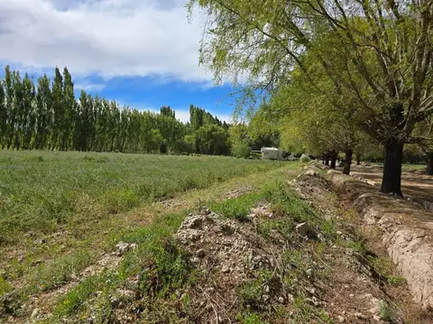 Terreno en Venta de 2009,0 m2