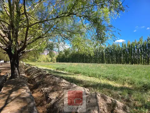 Terreno en Uspallata