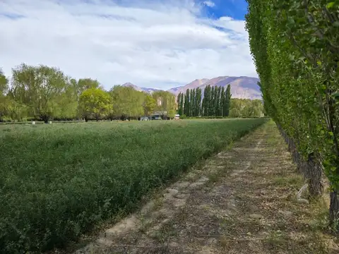 Terreno en Venta en Uspallata, USD 26.000