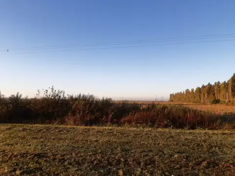 Ao 12 y Autopista a Buenos Aires