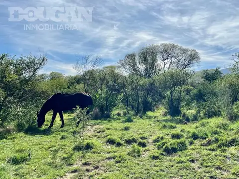 Calle Pública (Los Molles)