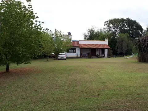 Los Helechos Y Los Crespones -