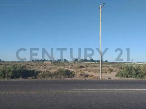 Lote de 1.020 m² sobre Ruta 34 – Costa de Araujo, Mendoza