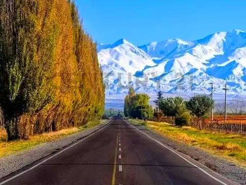 Century 21 López VENDE amplio TERRENO en zona céntrica y estratégica de Tupungato Mendoza