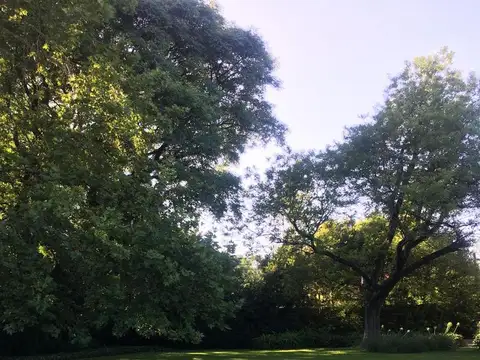 Terreno - la horqueta