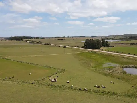 Chacra con casa a 1,5 km de Garzón y a 70 km de Punta del Es