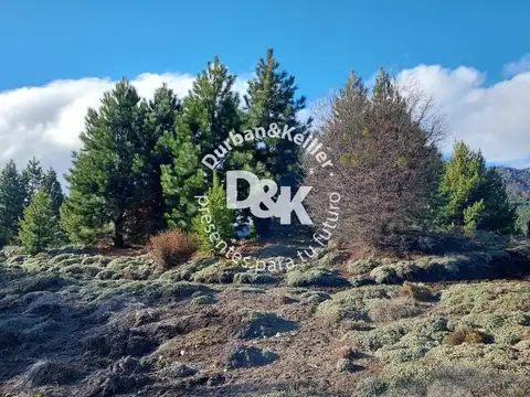 Lote en venta de 992 m2 en Villa Meliquina 100