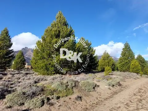 Terreno en Venta 50  mts Frente