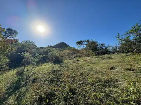 Terreno en Venta de 10100,0 m2