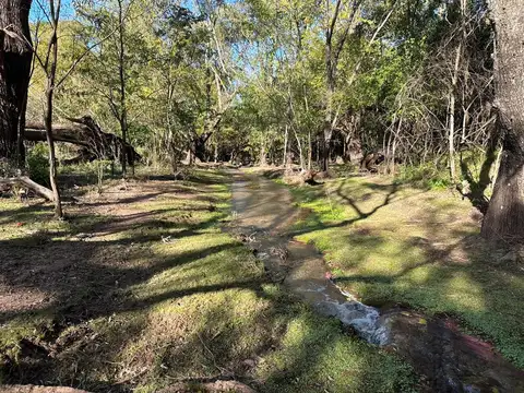 VENTA TERRENO 10100MTS CON ARROYO CON LUZ DE RED