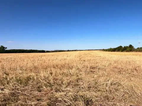 Venta Chacra 5Hás en El Caño con Gran Potencial