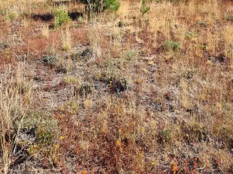 Villa rio quilquihue