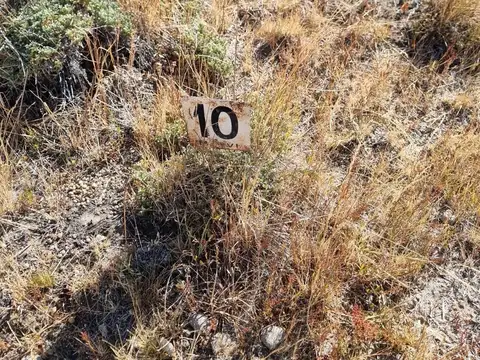 Terreno en Venta de 2725,0 m2