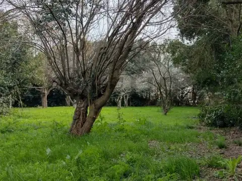 Terreno en Venta 27,50  mts Frente