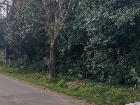 Terreno en Venta en La Plata, USD 35.000