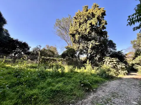 Calle Italia, El corte