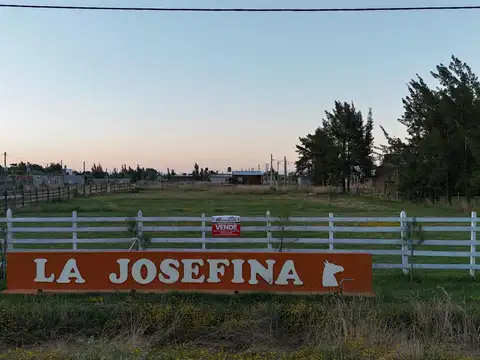 MATIENZO  al 1200 Domselaar, San Vicente