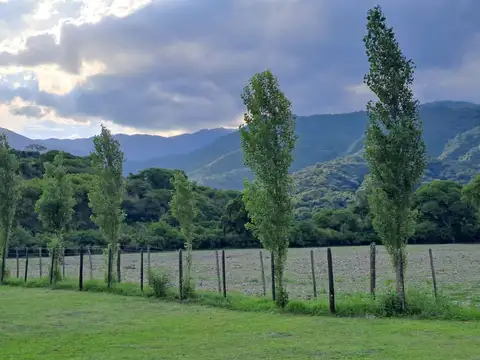 CAMARA, QUIJANO, SALTA