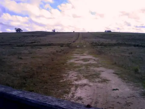 Por camino vecinal paralelo y al Sur de Ruta 9