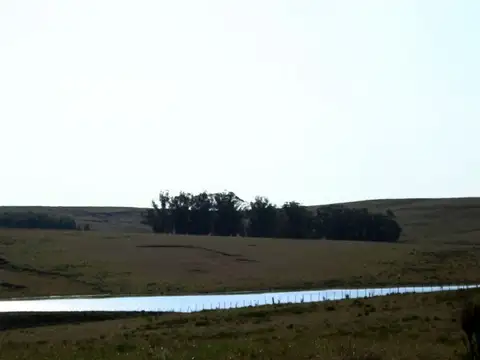 Quinta - Venta - Uruguay, La Barra