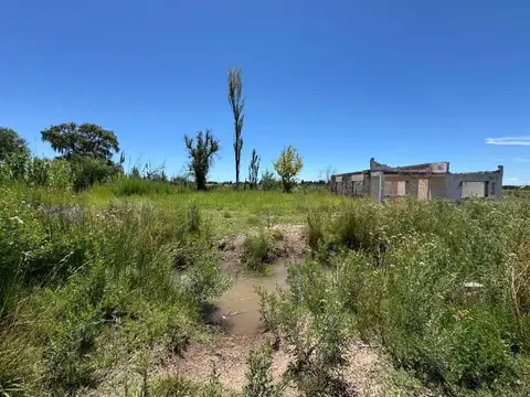 Los claveles cañada seca / La Escuela y Publica Rama Caida San Rafael