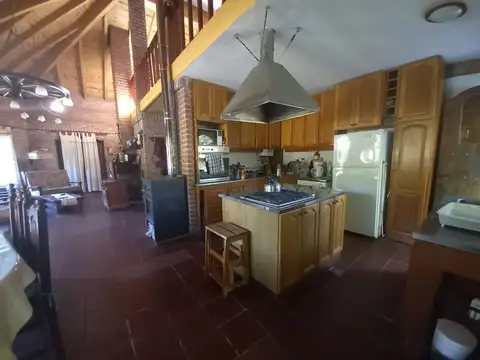 Buena Vista 100