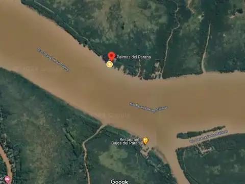 Lote 31ha venta s/rio, 2da sección Delta Islas Paraná Palma
