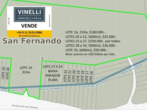Lote 31ha venta s/rio, 2da sección Delta Islas Paraná Palma