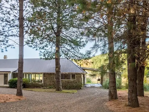 Chapelco Golf Club 100