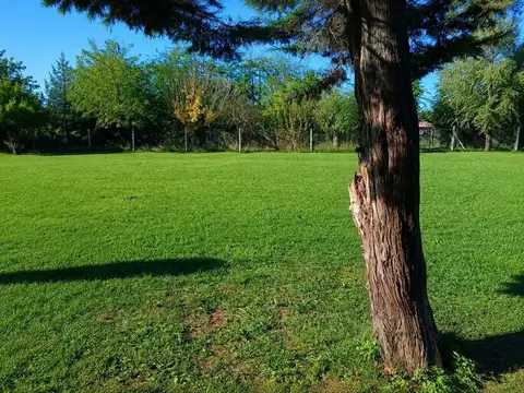 Terreno en Venta de 1552,0 m2