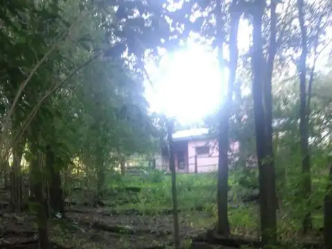 Camino Al Cuadrado 100