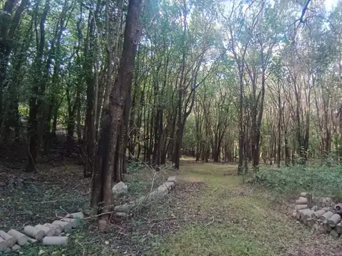 Camino Al Cuadrado 100