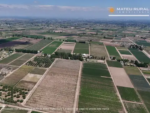 Campo en Venta Frutícola