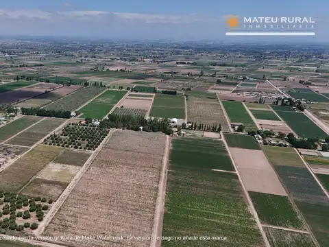 Campo en Venta de 14  ha