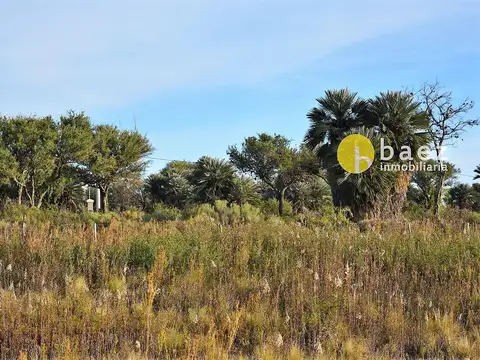 Acceso Al Dique Piscu Yaco