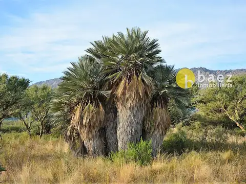 Acceso Al Dique Piscu Yaco