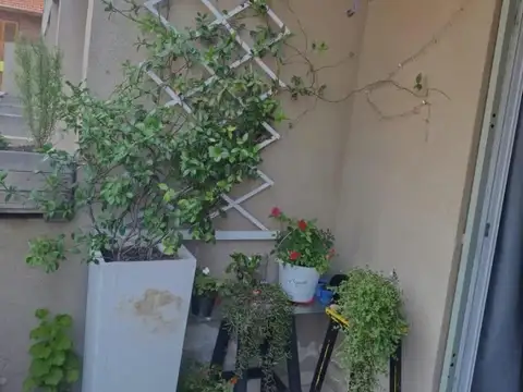 Departamento en Venta Permite mascota
