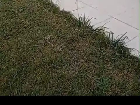 Casa en Alquiler con 2 cocheras