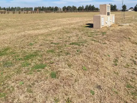 Terreno en Venta 41  mts Fondo