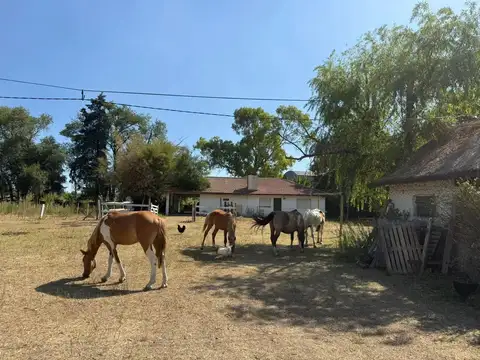 Campo en Glew