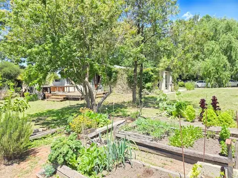 Local en Alquiler en Nordelta, USD 3.200