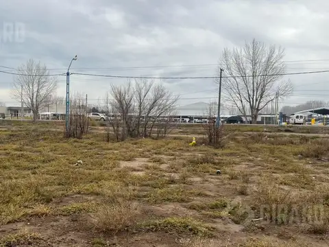 Bolivia 200 entre Formosa y Rep. Del Líbano. Frente a Ruta 22