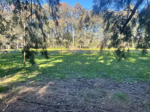 LOTE EN VENTA EN GOMEZ