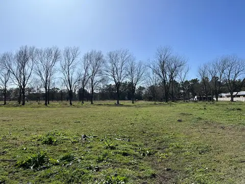 Ruta 25 y Apatamas
