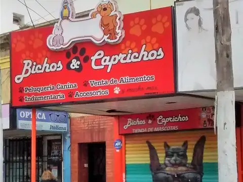 O´higgins 2025