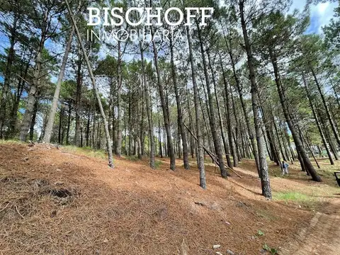 Terreno en Venta de 985,0 m2