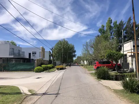 133 477 y 478  El Roble